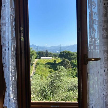 Casolare Di Adele Villa Montecarlo Exteriör bild
