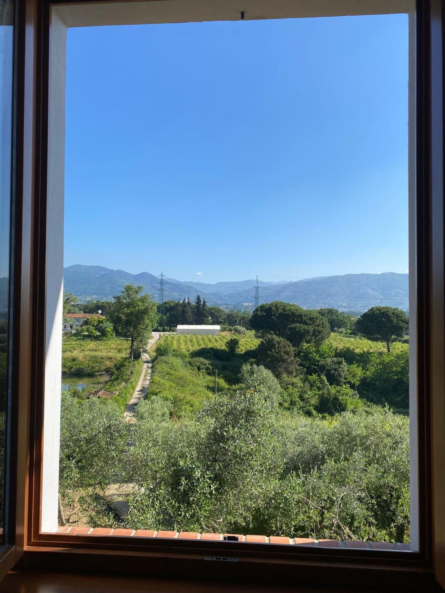 Casolare Di Adele Villa Montecarlo Exteriör bild