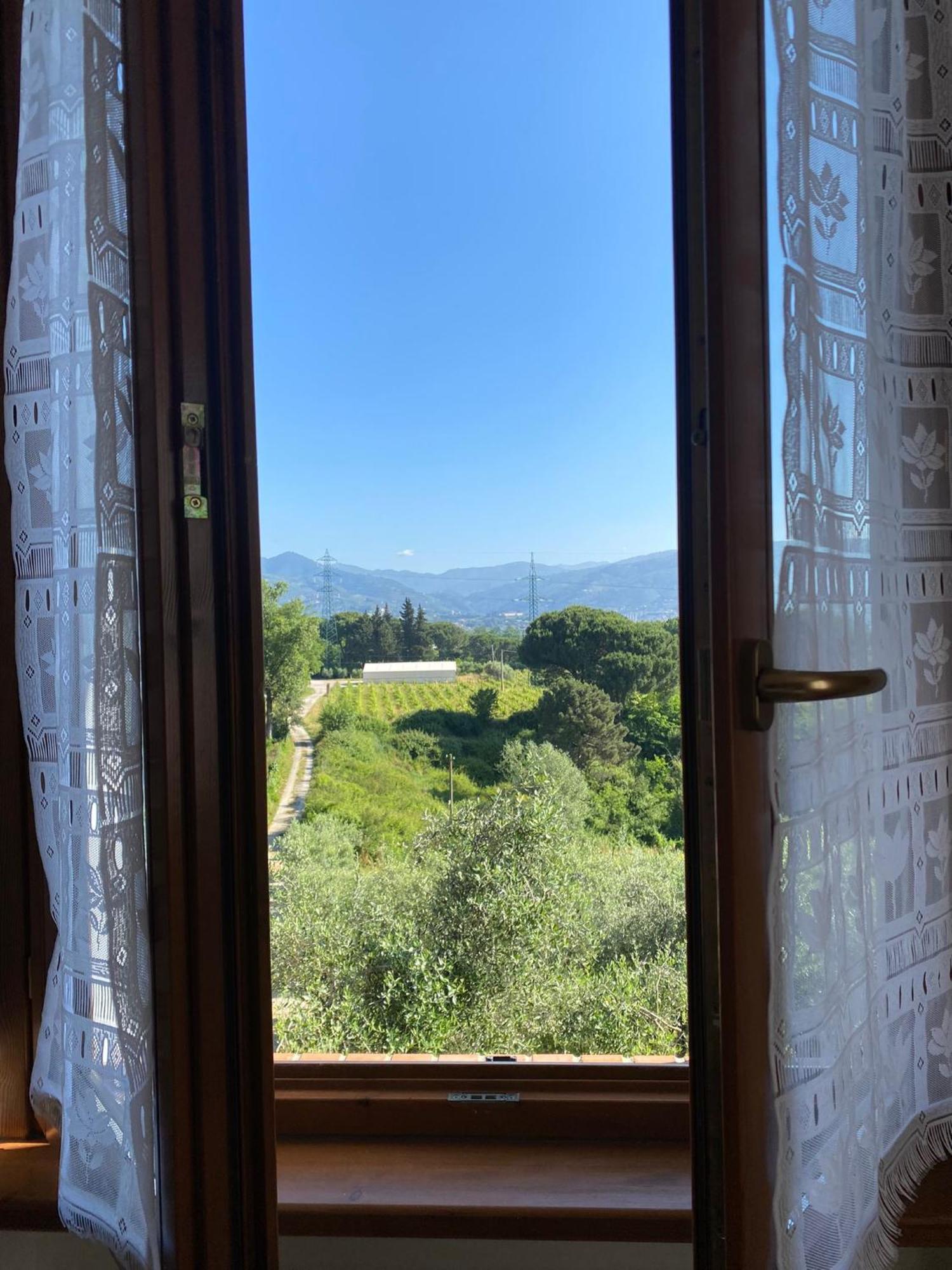 Casolare Di Adele Villa Montecarlo Exteriör bild